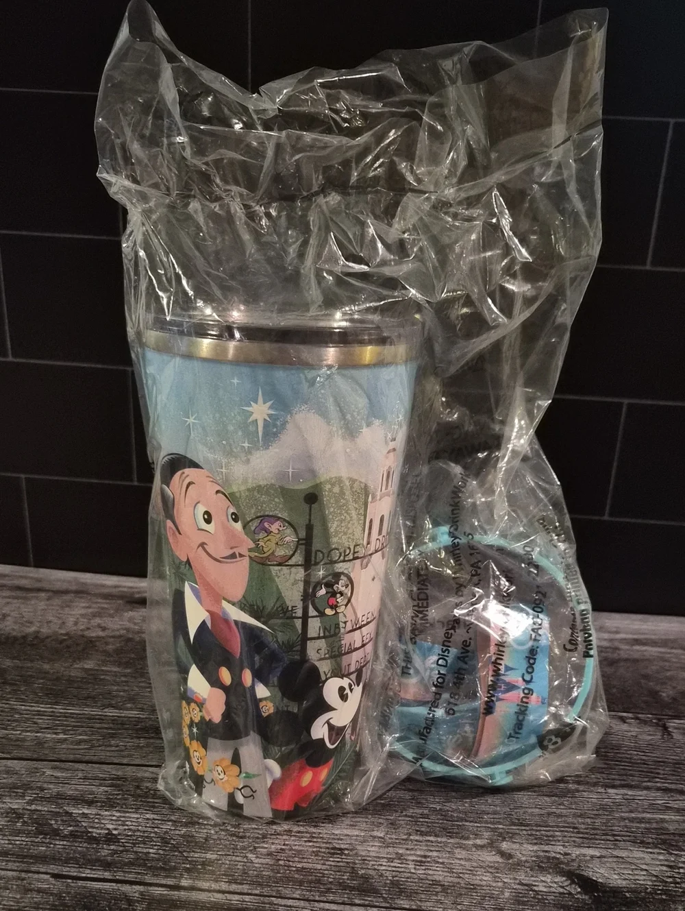 Disney100 Joey Chou Stainless Steel Tumbler